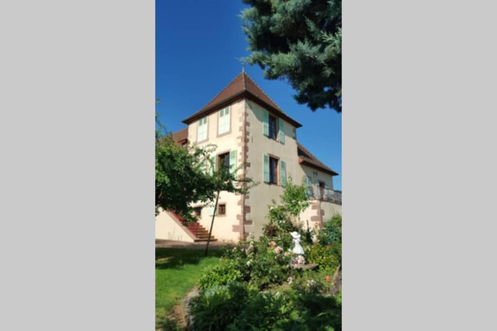 Domaine Du Bouxhof Apartment Mittelwihr Exterior foto